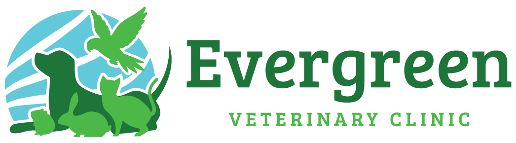 Evergreen Veterinary Clinic Logo